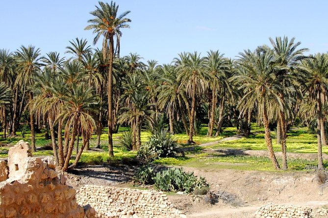 From Sousse 3 Day Desert Tour With a Tent Night - Booking Information
