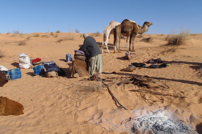 From Tozeur: 3-Day Desert Trip - Common Questions