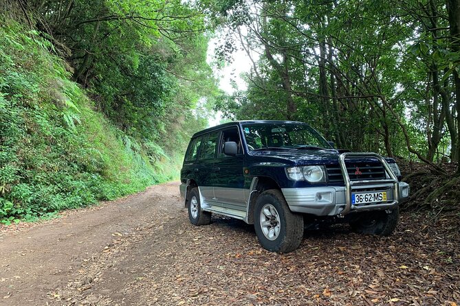 Full Day 4x4 Jeep Safari in Santana - Overview of the Jeep Safari Experience