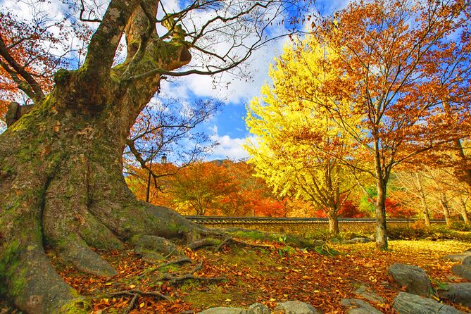 Full-Day Autumn Tour From Busan to Unmunsa Bhikkhuni Temple - The Sum Up