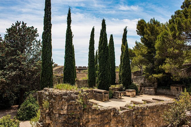 Full-Day Avignon Private Tour With Wine Tasting From Marseille - Common Questions