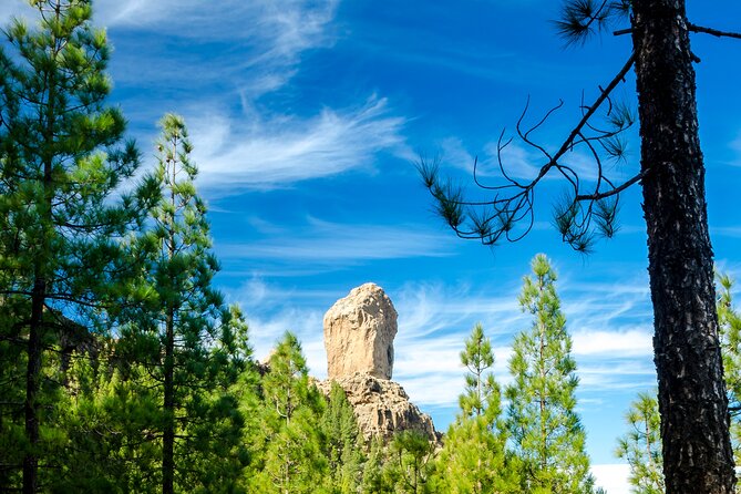 Full-Day Gran Canaria Tour With Teror, Tejeda and Lunch in Fataga - The Sum Up