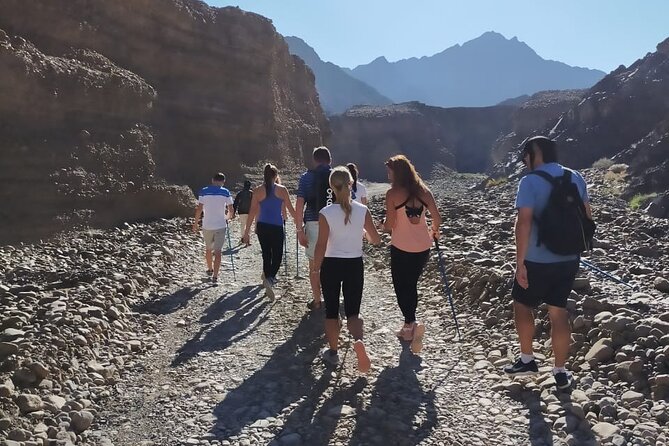 Full-Day Guided Hatta Sightseeing Tour With Kayaking Experience - Common Questions