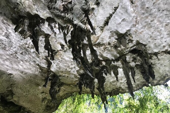 Full Day Guided Tour in Bor Thor Caves and Mangroves - The Sum Up