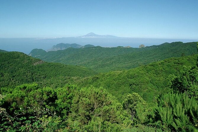 Full Day Guided Tour to La Gomera From Tenerife - General Information About Viator