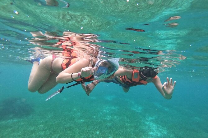 Full Day Guided Tour to Sian Kaan (Short Way) - Reviews by Viator Travelers