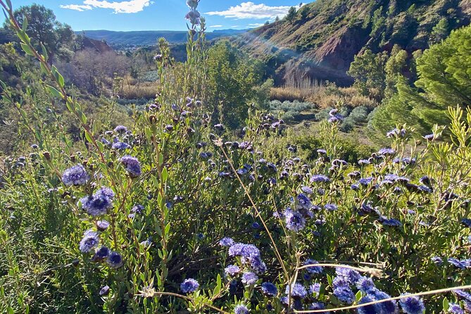 Full-Day Hiking at Ruta the Aqua Across Pena Cortada - Common Questions