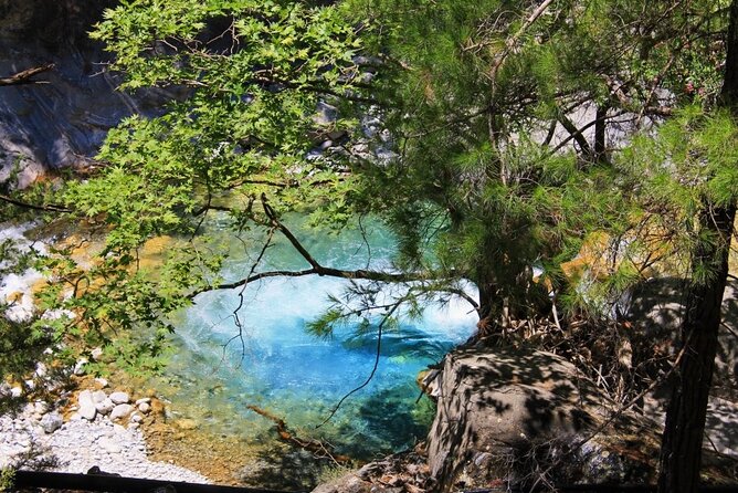 Full Day Hiking at Samaria Gorge&Agia Rumeli Beach From Heraklion - Traveler Reviews and Recommendations