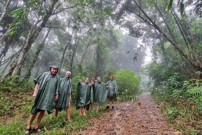 Full Day Jungle Safari Tour in Koh Samui - Safety Measures