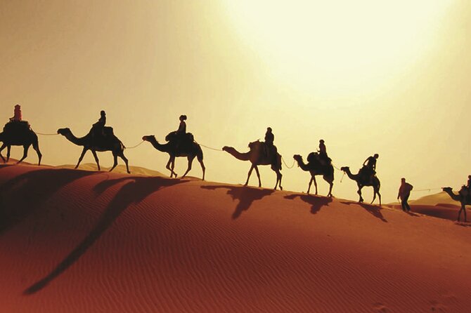 Full Day LIWA 4x4 Safari With Lunch Included From Abu Dhabi - Directions for LIWA 4x4 Safari