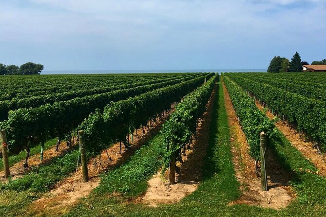 Full-Day Niagara-On-The-Lake Guided Wine and Charcuterie Tour - The Sum Up