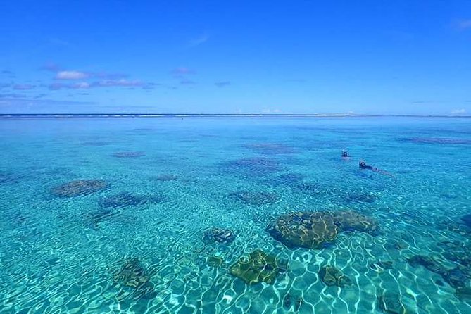 Full-Day Private Boat Tour of Bora Bora Lagoon With Snorkel - Expectations and Requirements