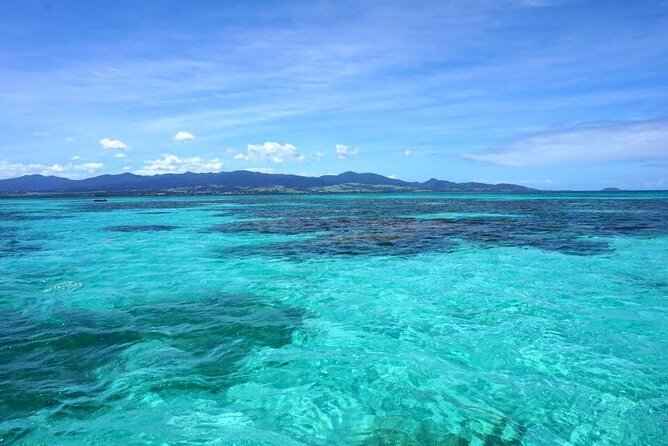 Full Day Private Boat Trip to the Lagoon of Guadeloupe - Trip Details