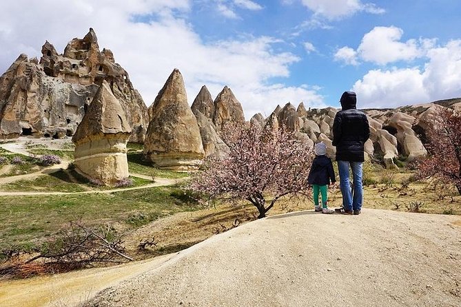 Full Day Private Cappadocia Tour (Luxury Van Private Guide ) - Inclusions and Services