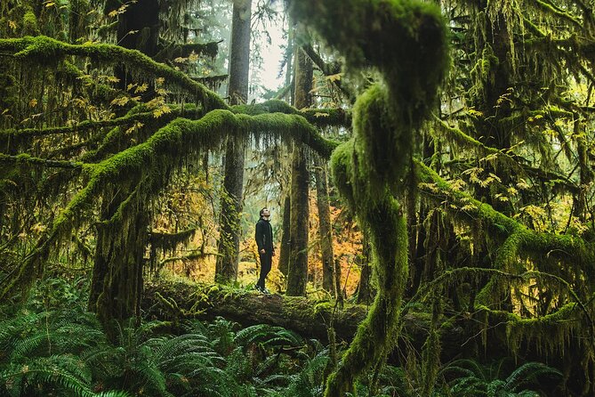 Full-Day Private Tour and Hike in Olympic National Park - Good To Know