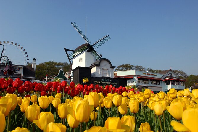 Full Day Private Tour Everland Theme Park - Common Questions