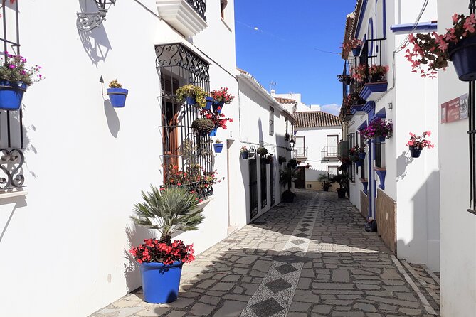 Full Day Private Tour in Gibraltar and Estepona From Marbella - Common Questions
