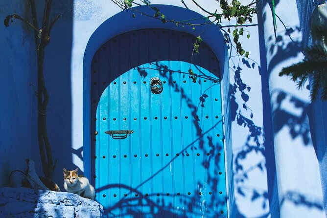 Full Day Private Trip to Chefchaouen the Blue City From Tangier - The Sum Up