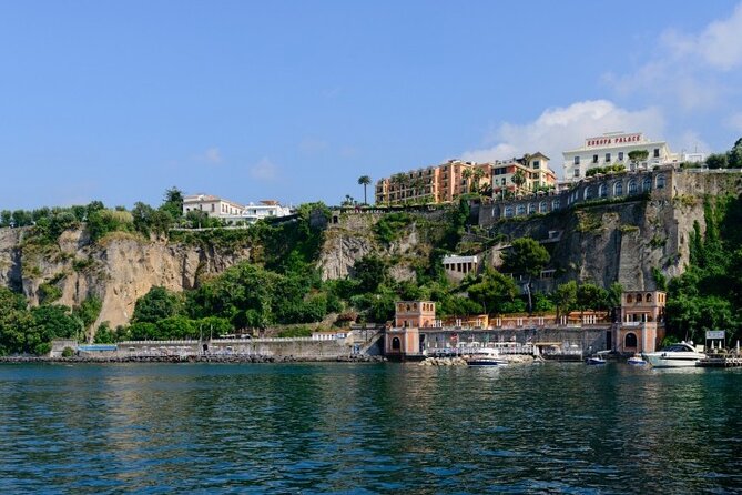 Full-Day Private VIP Boat Tour to Capri - Customer Reviews and Testimonials