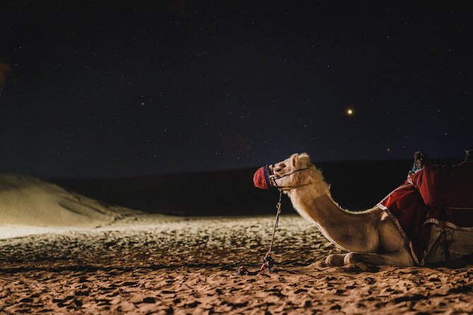 Full Day Qatar North and Desert Safari With Pickup - Desert Safari Experience