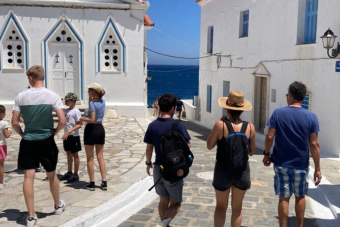 Full-Day Small-Group Guided Tour of Andros - Led by a Local Guide