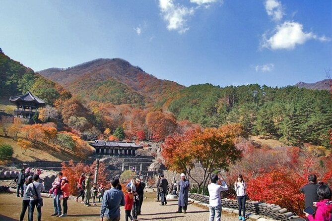 Full-Day Suncheon Bay Garden and Samseonggung Palace With Lunch - Weather Policy