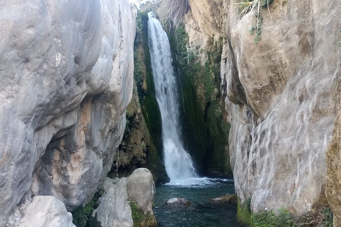 Full Day Tour at Algar Spring - The Sum Up