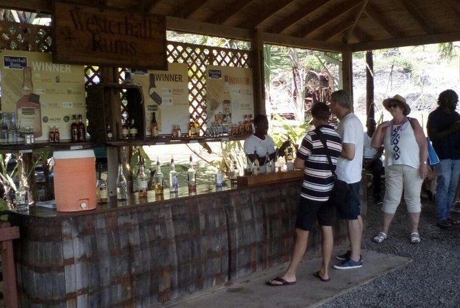 Full-Day Tour: Concord Waterfall, Chocolate Factory, Rum Distillery, Grand Etang - Cancellation Policy