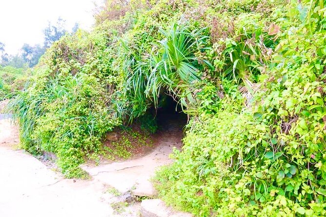 Full Day Tour (hue – Vinh Moc Tunnel – Khe Sanh –hue) - Additional Information