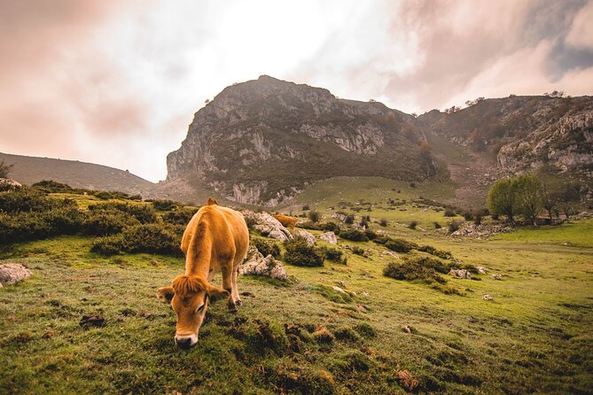 Full Day Tour Lakes of Covadonga and Santillana From Santander - Common Questions