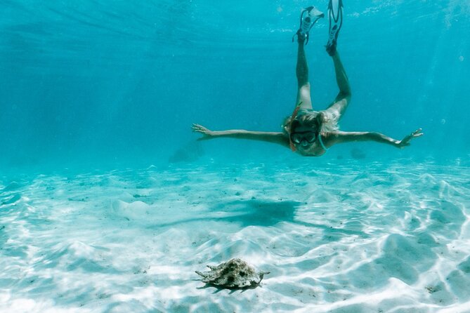 Full Day Tour : Moorea Snorkeling & Sunset Cruise on a Catamaran Named Taboo - Common Questions
