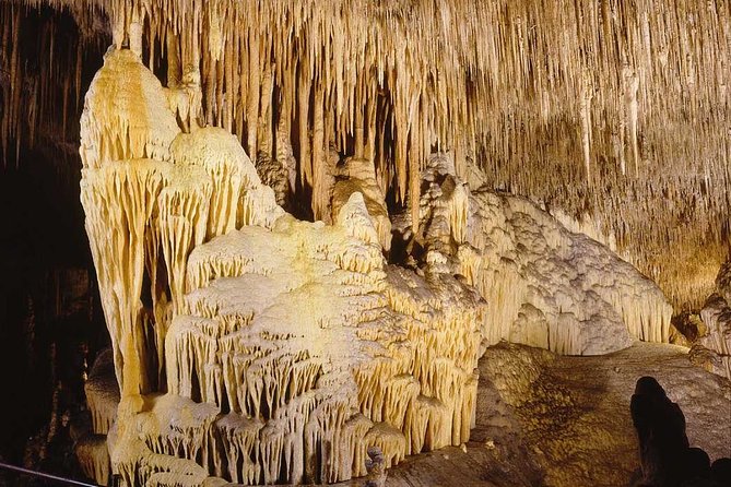 Full Day Tour to Caves of Drach and Hams With Porto Cristo and Pearl Factory - The Sum Up