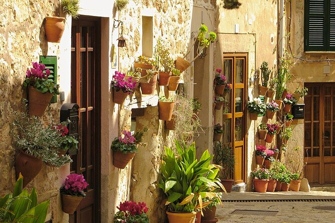 Full-Day Tour to Palma City and Valldemossa - The Sum Up