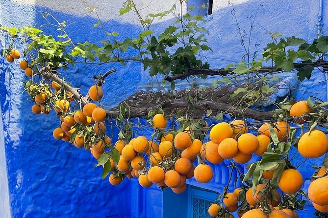 Full-Day Tour to the Blue City Chefchaouen on Small-Group - The Sum Up