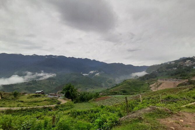 Full Day Trekking in Sapa and Muong Hoa Valley - Reviews and Ratings