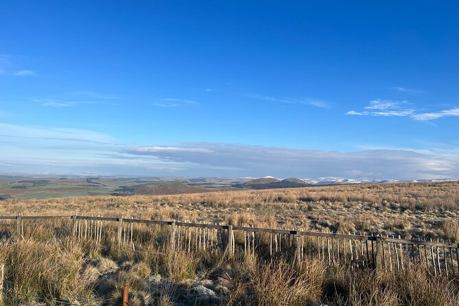Full Day Trip Hadrians Wall and the Borders From Edinburgh - Scenic Drive Through the Scottish Countryside