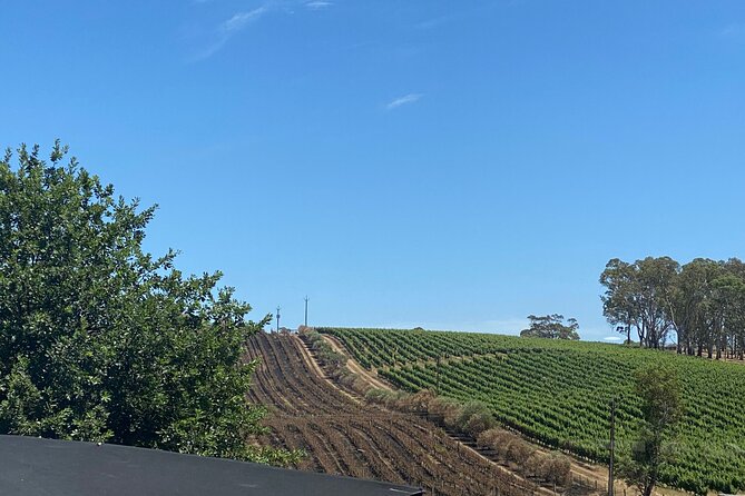 Full-Day VIP Hahndorf and McLaren Vale Private Tour - The Sum Up