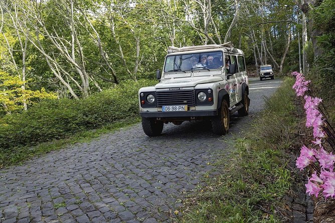 Funchal Half-Day Nun's Valley and Coastal Tour - Professional Driver/Guide Included