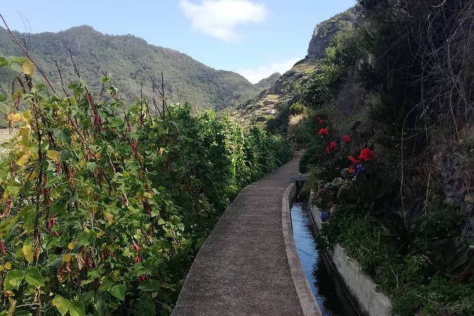 Funchal Small-Group Marocos to Mimosa Valley Hike - Terms and Conditions