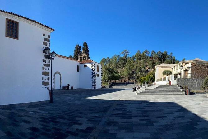 Gastro Wine Tour South Tenerife - Common Questions