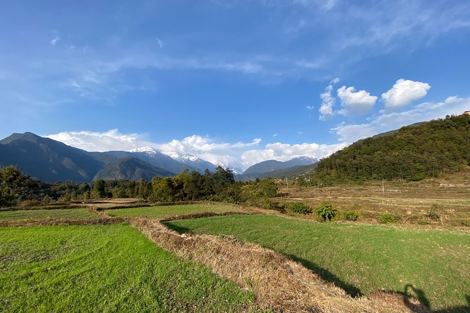 Gentle Walking Tour to Explore Nature in Pokhara - Common Questions