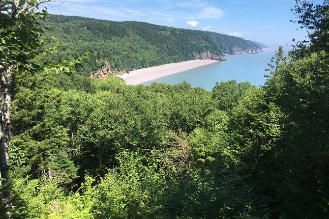 Go Fundy Tours - Common Questions