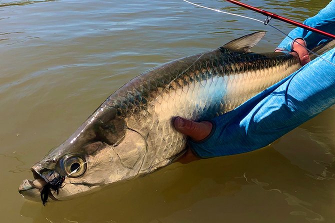 Golden Glare Fishing Charter With Experienced Captain - Note