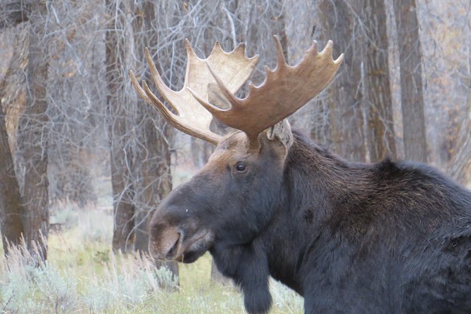 Grand Teton National Park - Sunset Guided Tour From Jackson Hole - Sunset Tour Itinerary