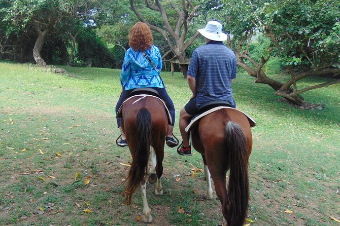 Gros Islet Private Horseback Riding and Waterfall Tour  - St Lucia - Common Questions