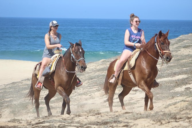 Guided Cabo Horseback Ride With Hotel Pickup  - Cabo San Lucas - Additional Activities