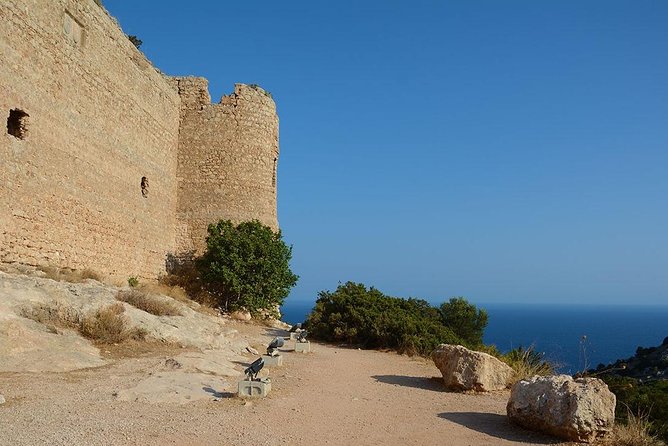 Guided Island Tour With Wine Tasting Experience - The Sum Up
