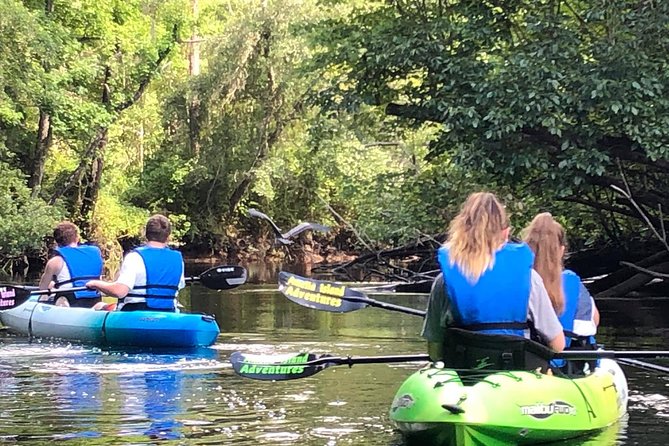 Guided Kayak Eco Tour: Real Florida Adventure - Overview and Experience