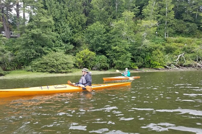 Guided Kayak Tours on the Salmon River Estuary in Otis, Oregon - Tips and Recommendations