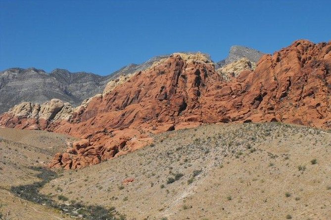 Guided Mountain Bike Tour of Mustang Trail in Red Rock Canyon - The Sum Up